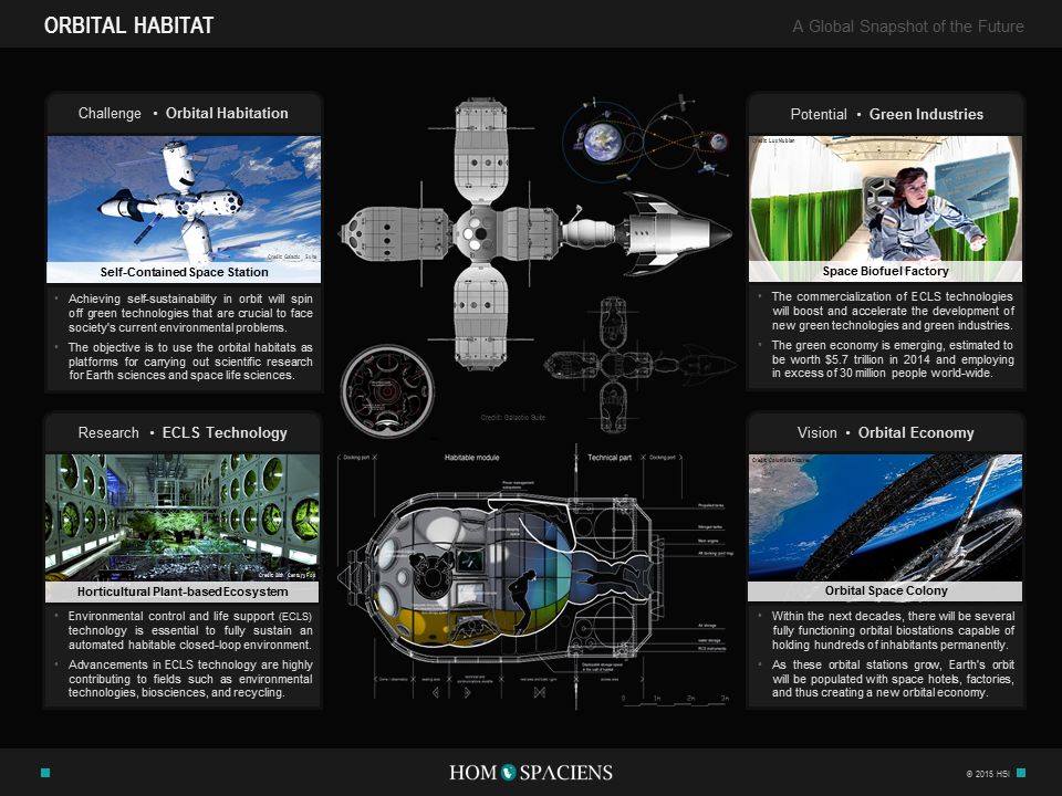 Orbital Habitat Infographic